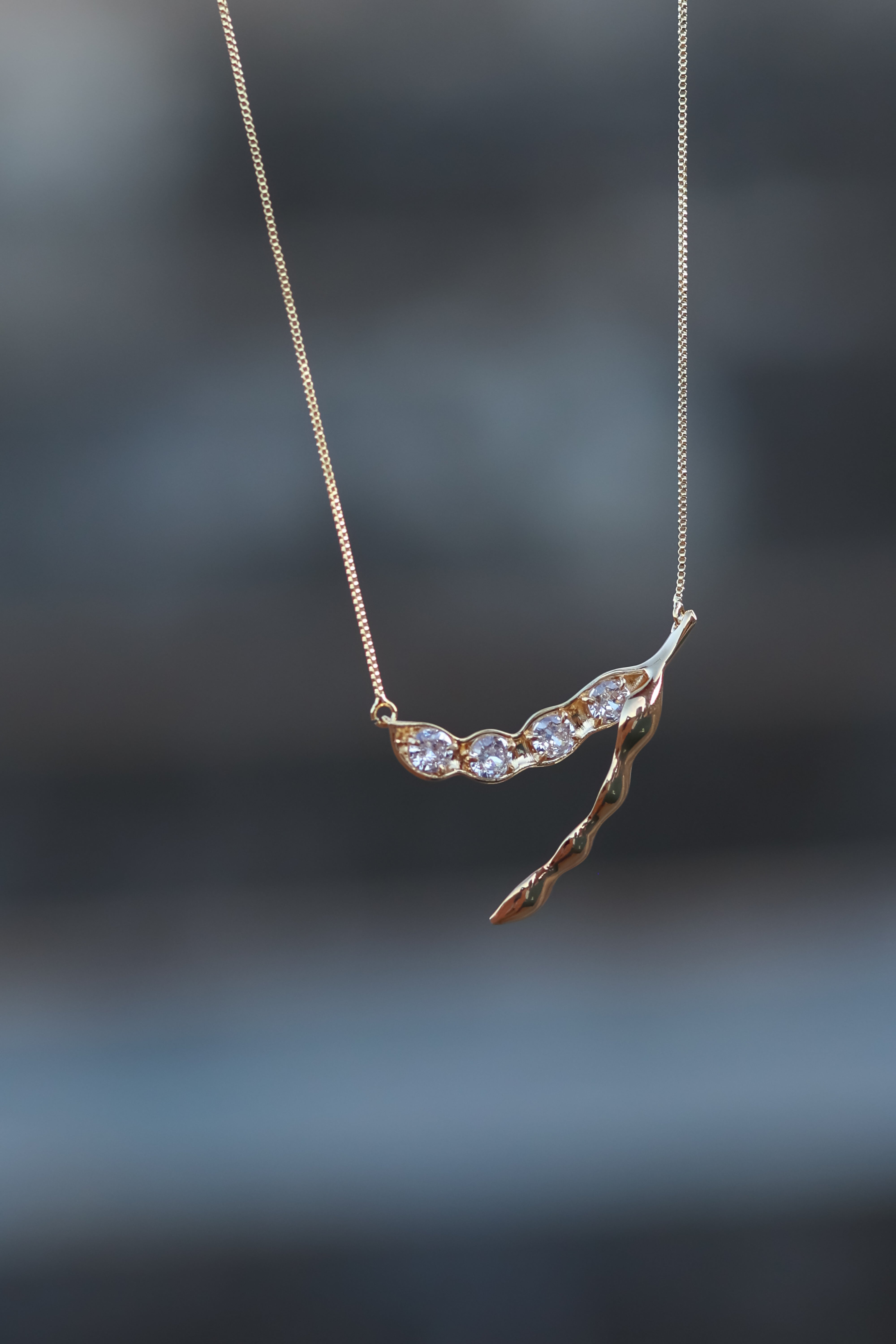 Collar Soya