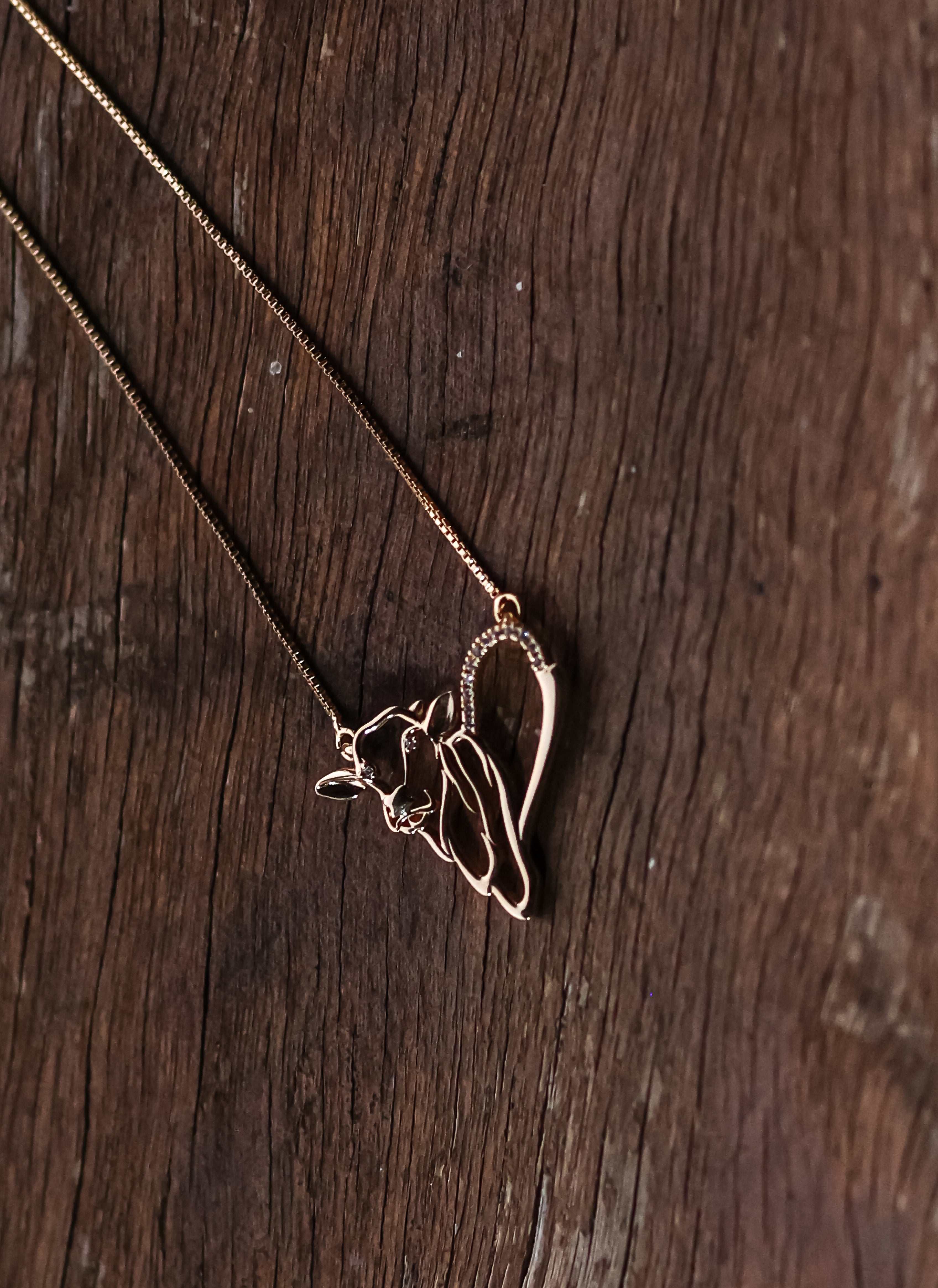Collar Nelore