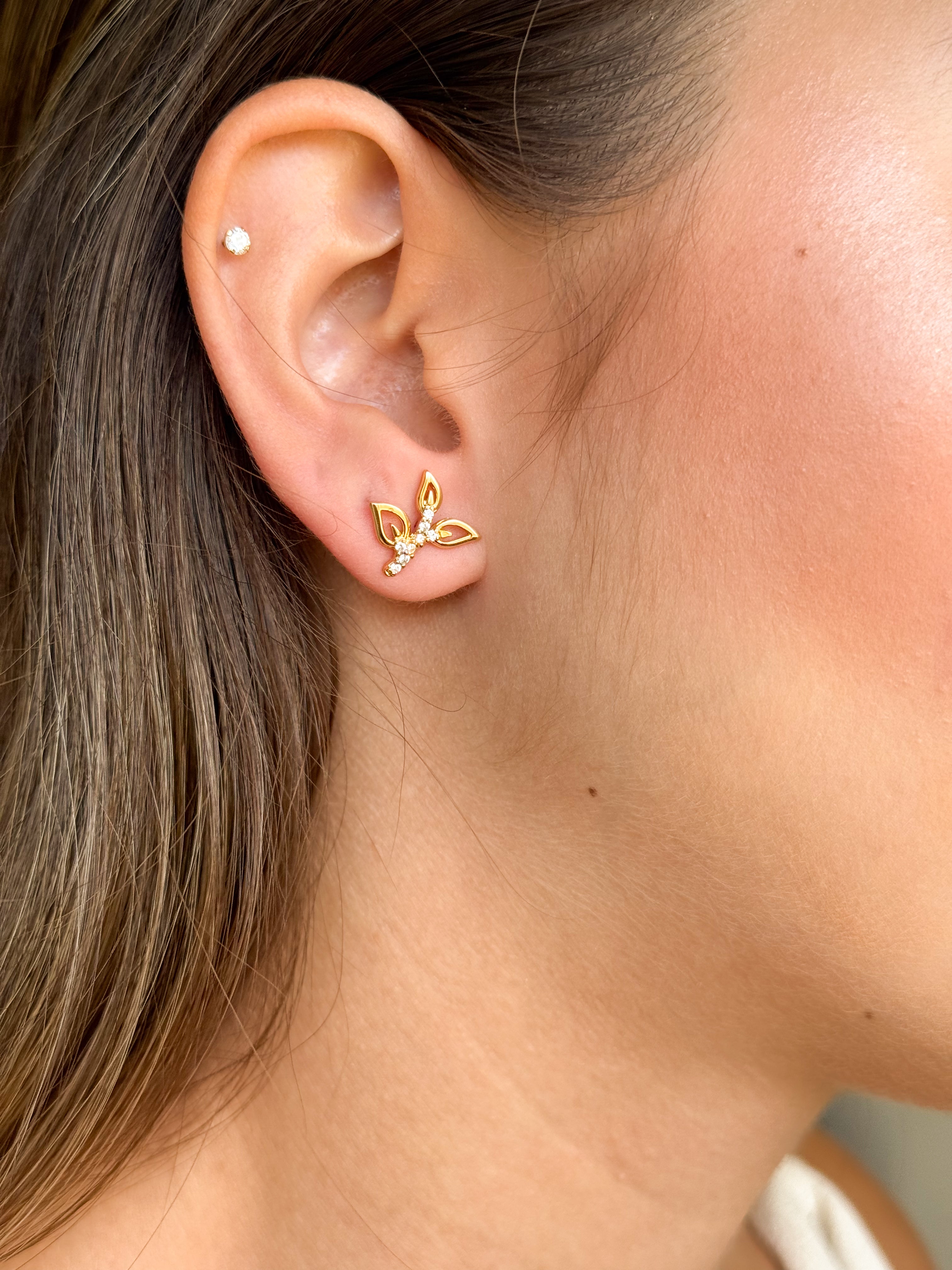 Aretes Brote Zirconias