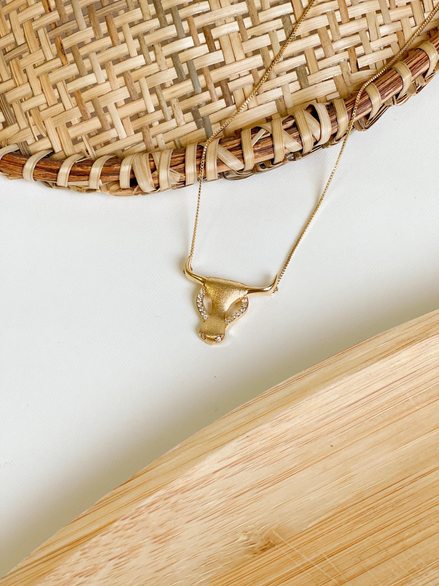 Collar LongHorn