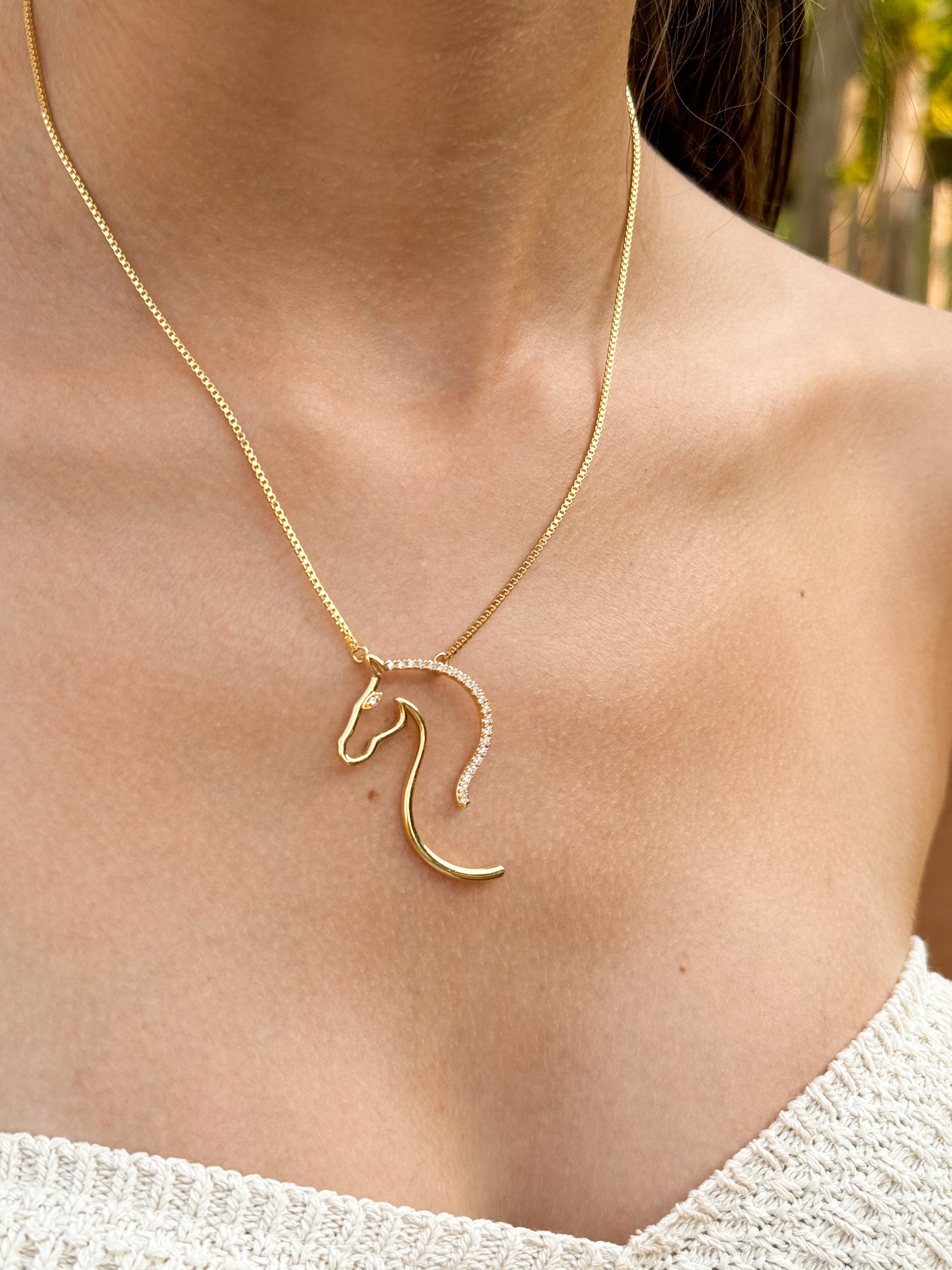 Collar Caballo Zirconias