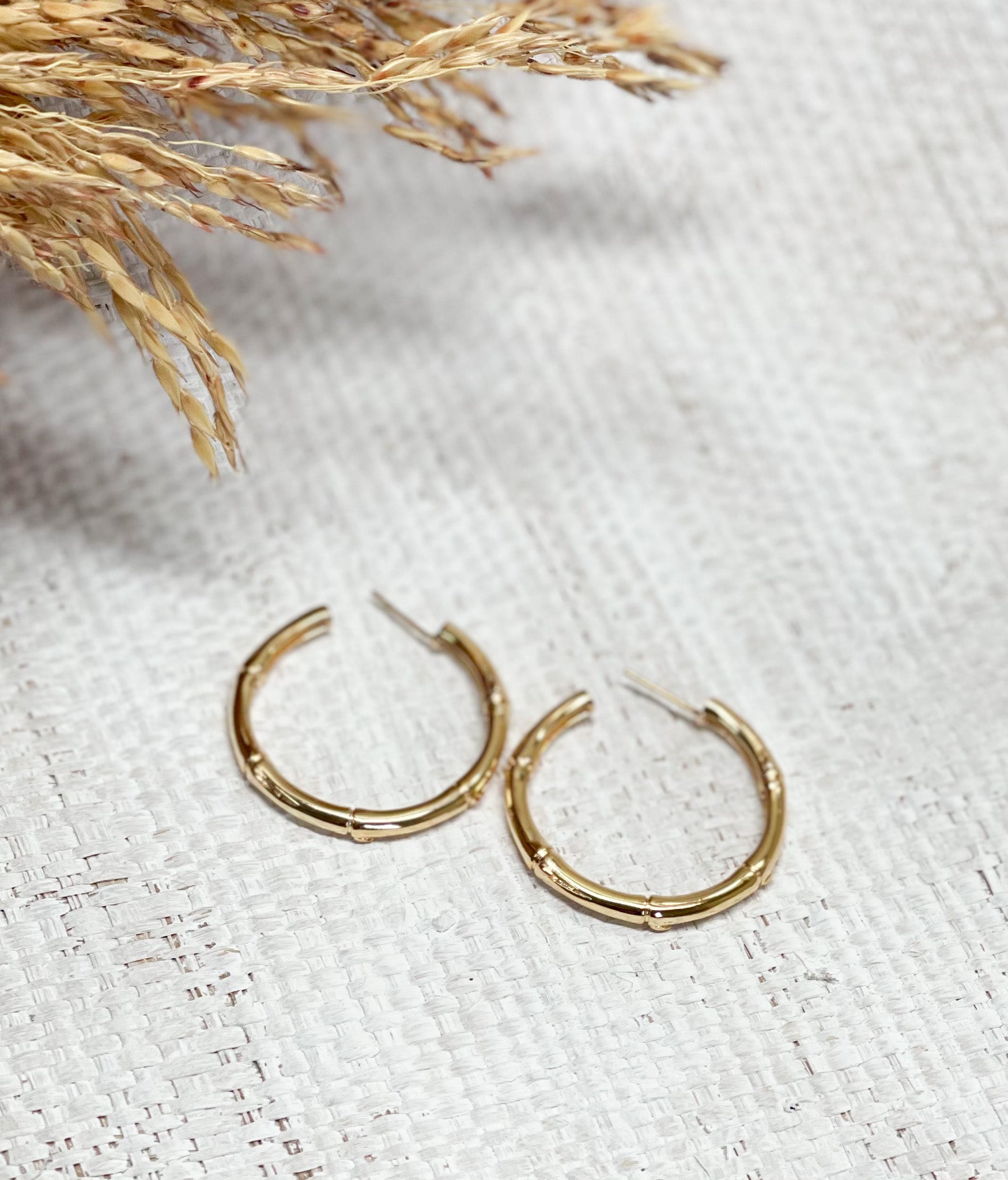 Aretes Caña