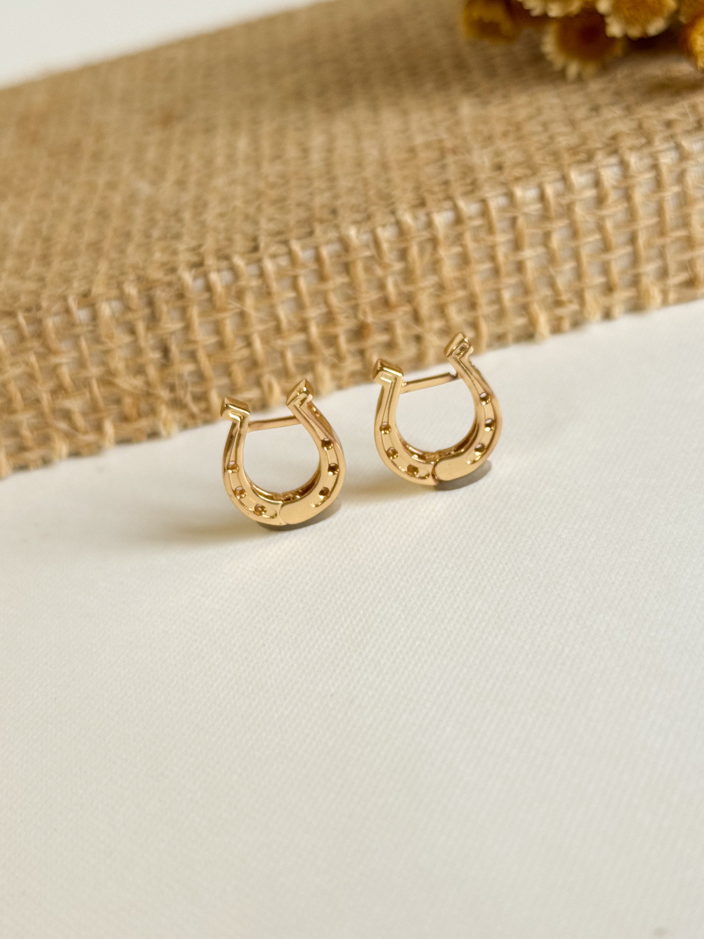 Aretes Herradura