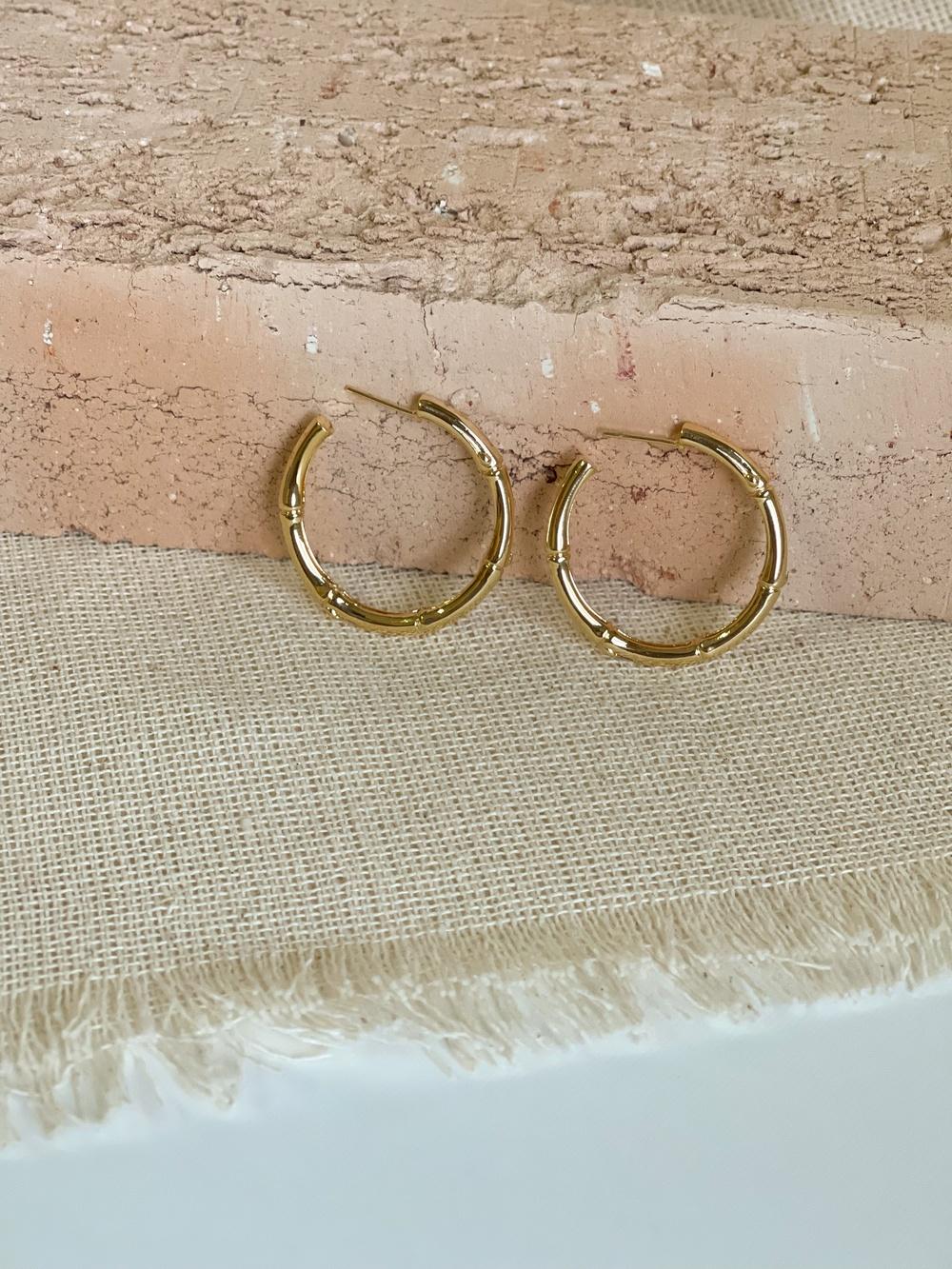 Aretes Caña