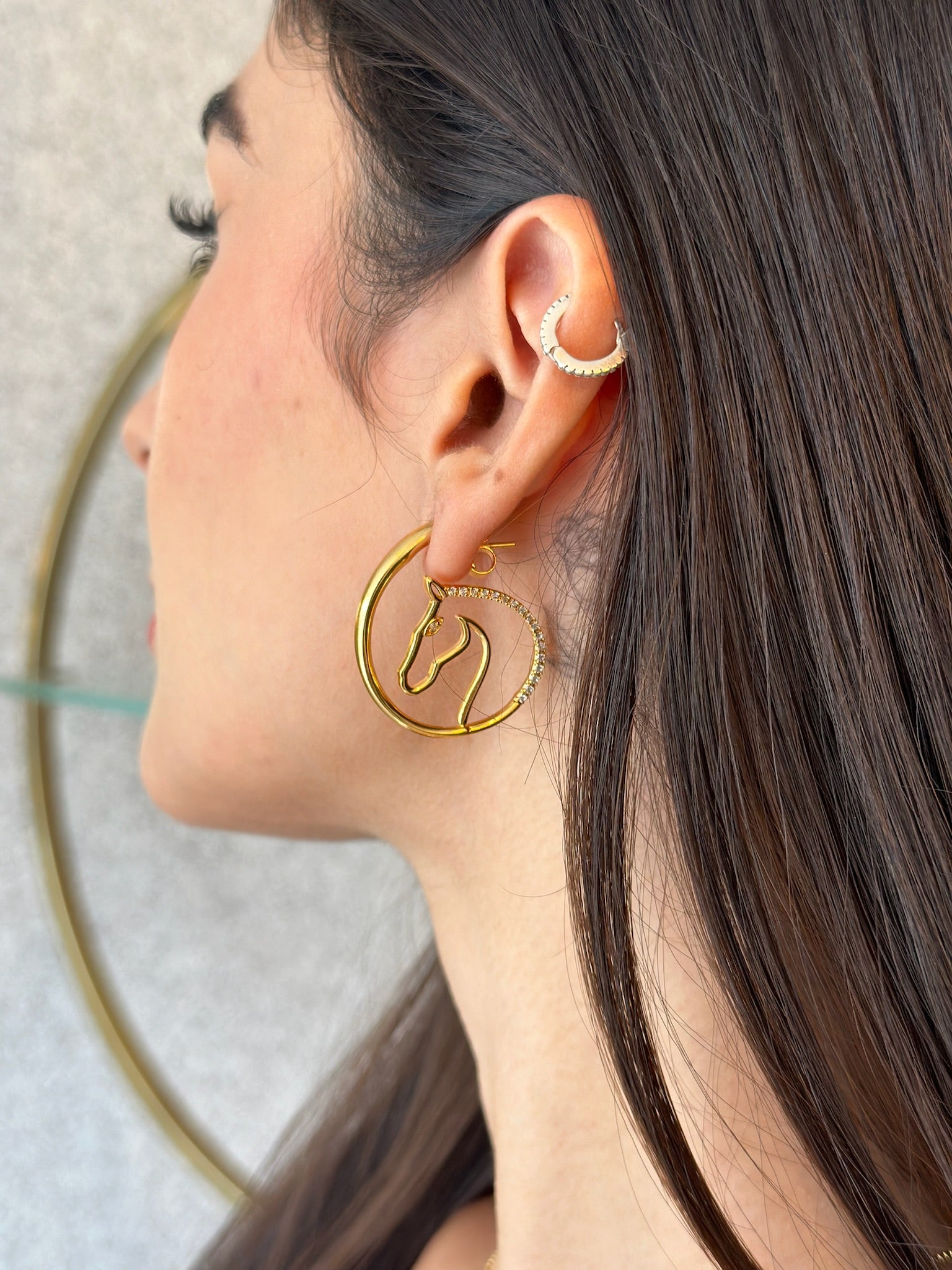 Aretes Caballo Zirconias