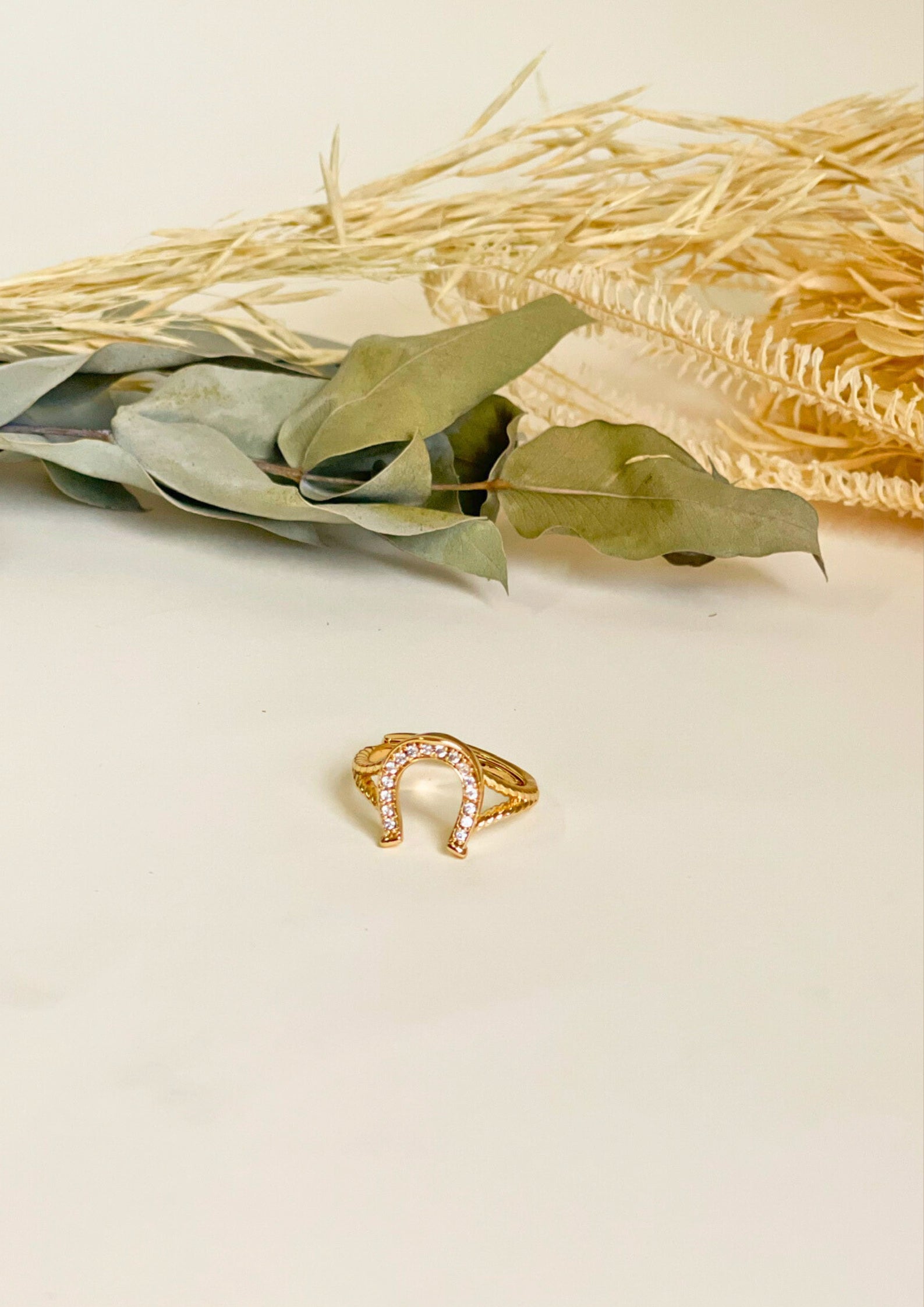 Anillo Herradura