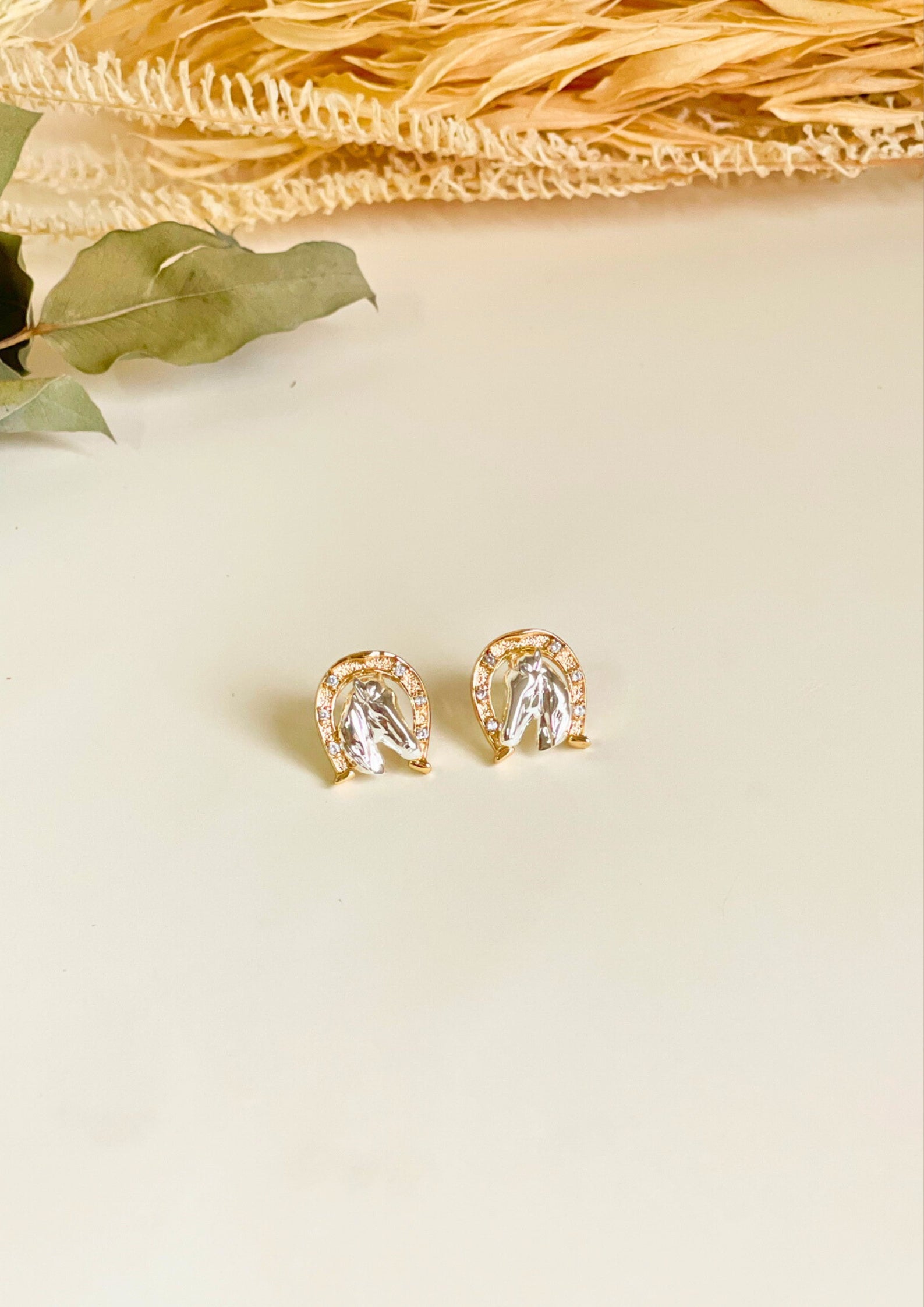 Aretes Herradura Caballo
