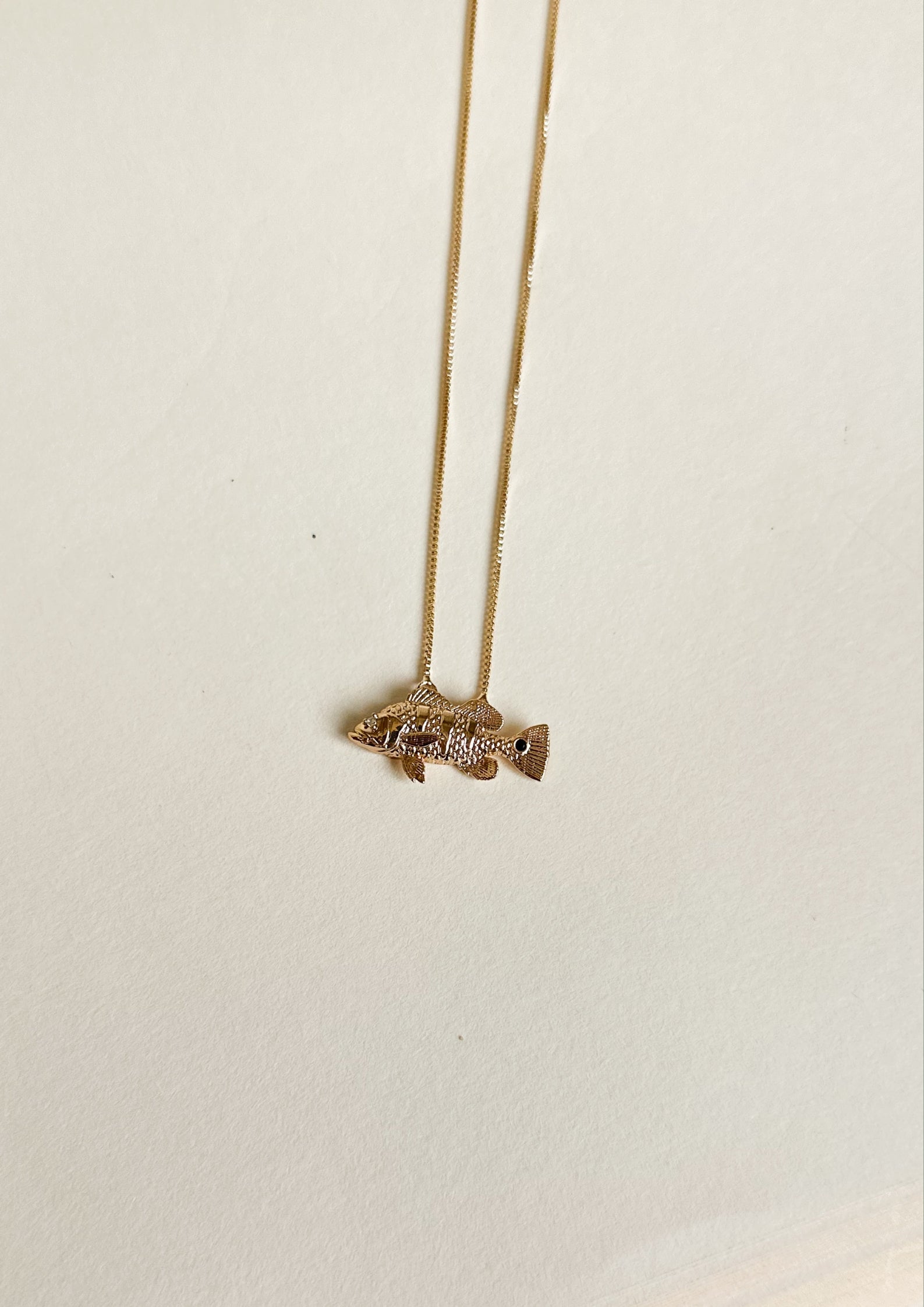 Collar Pavón