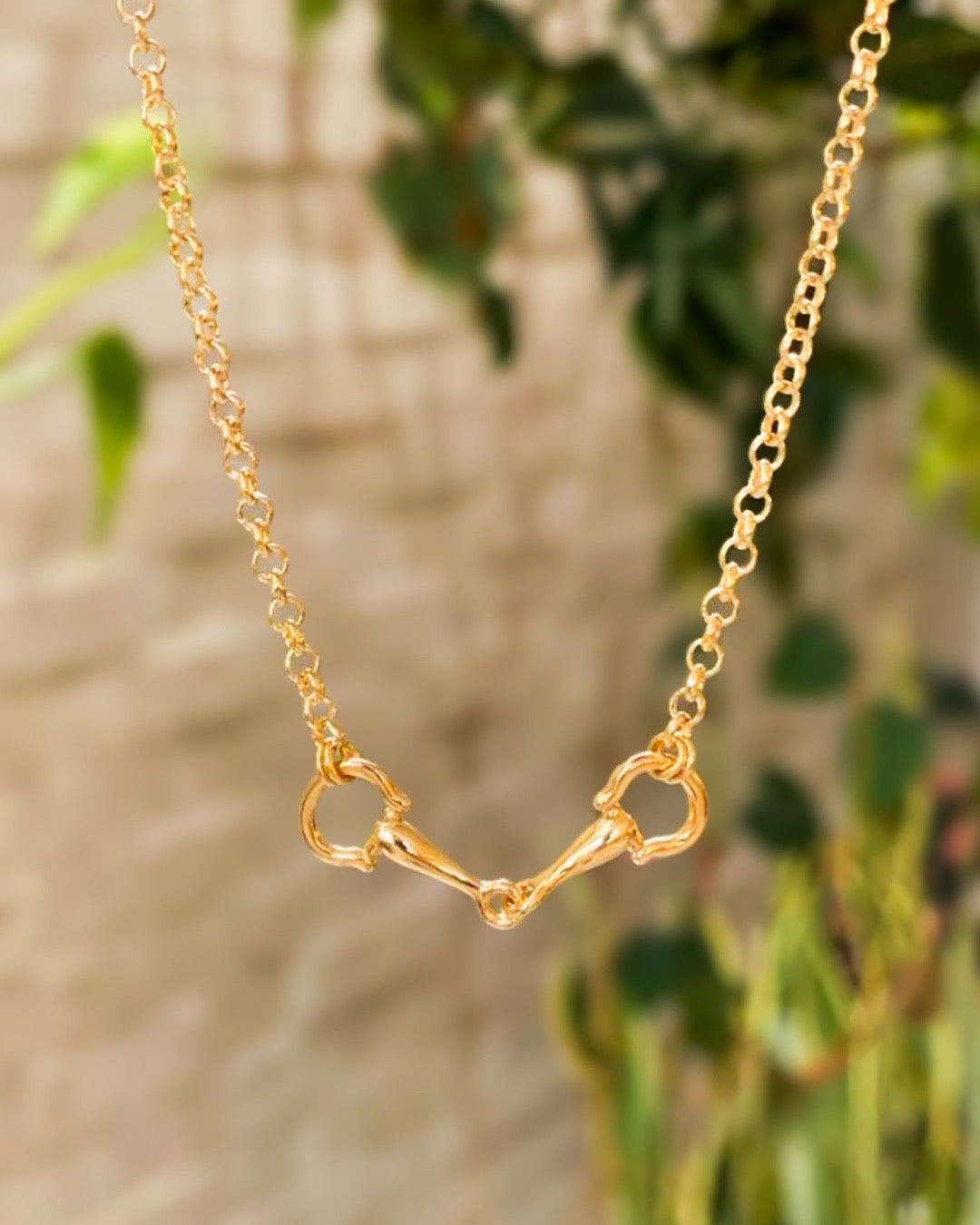 Collar Bocado
