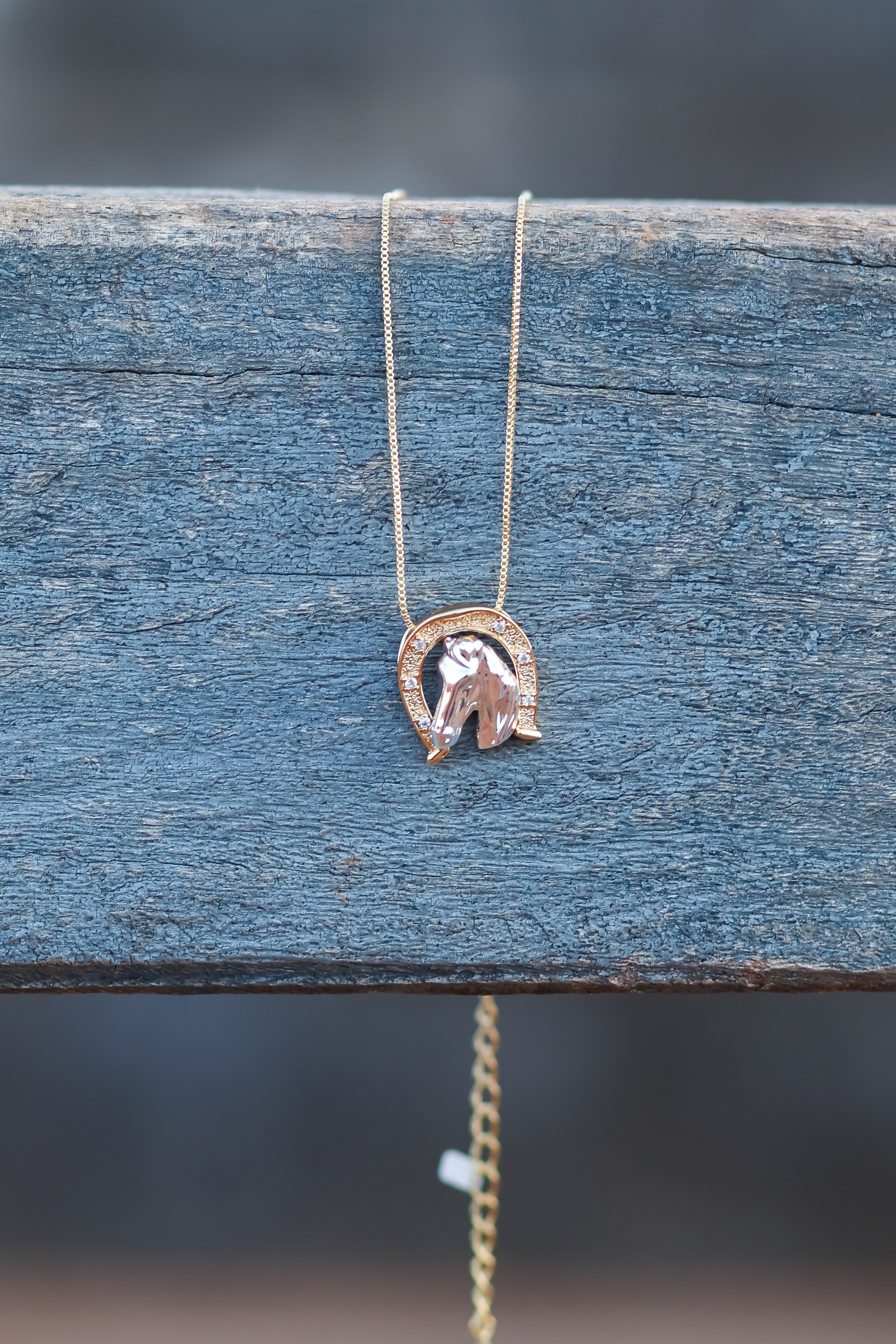 Collar Herradura Caballo