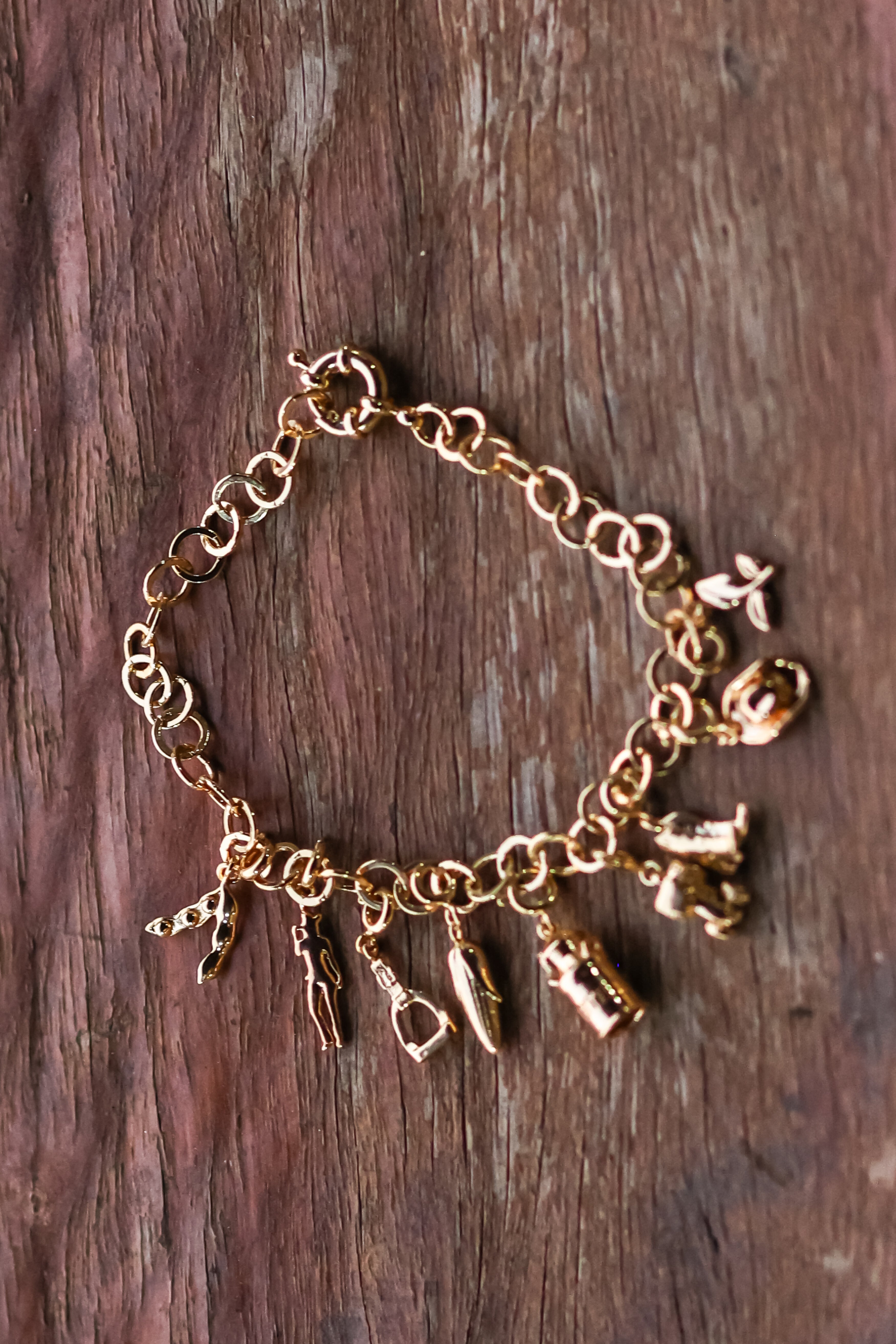 Pulsera para Dijes