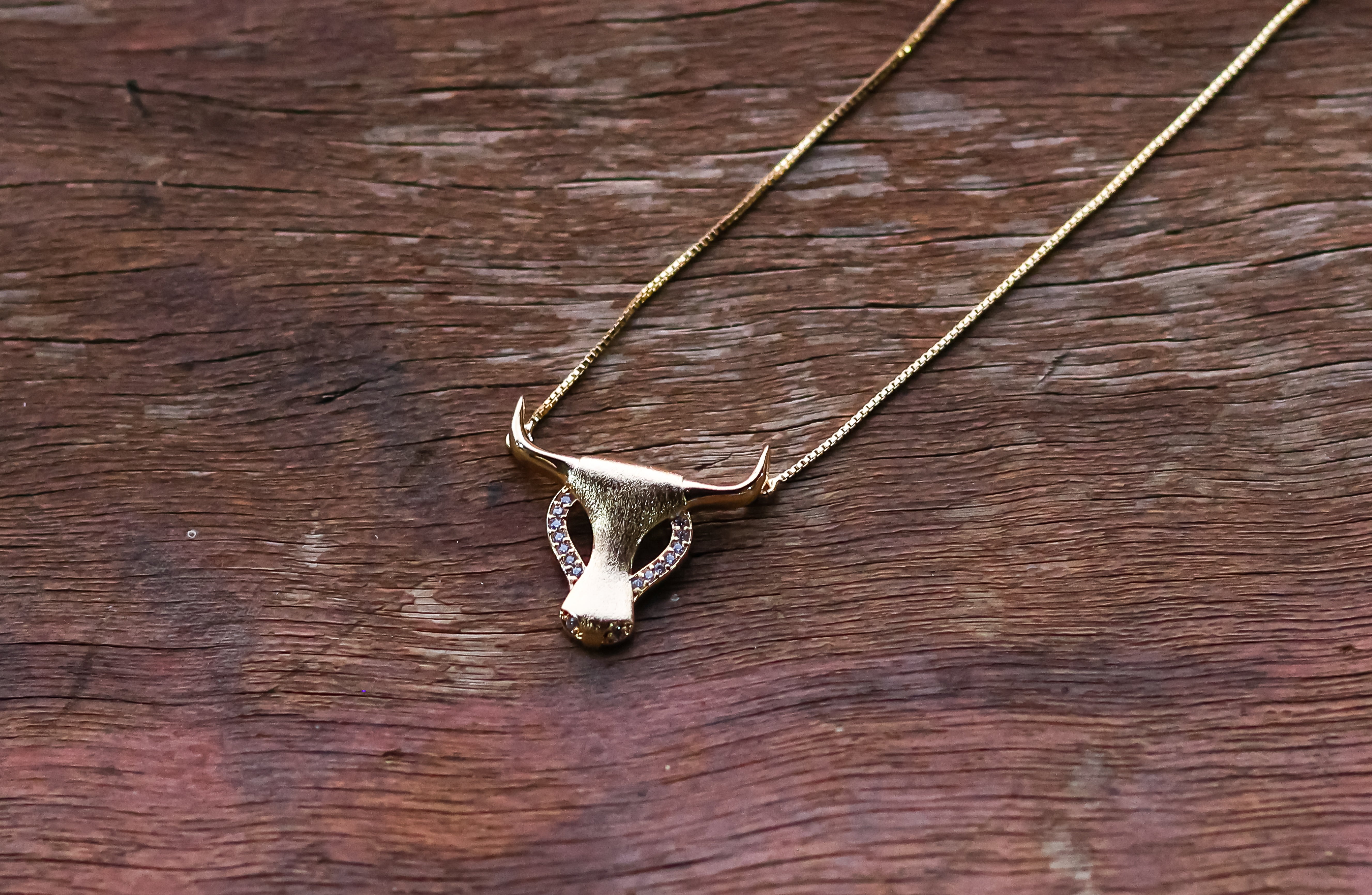 Collar LongHorn