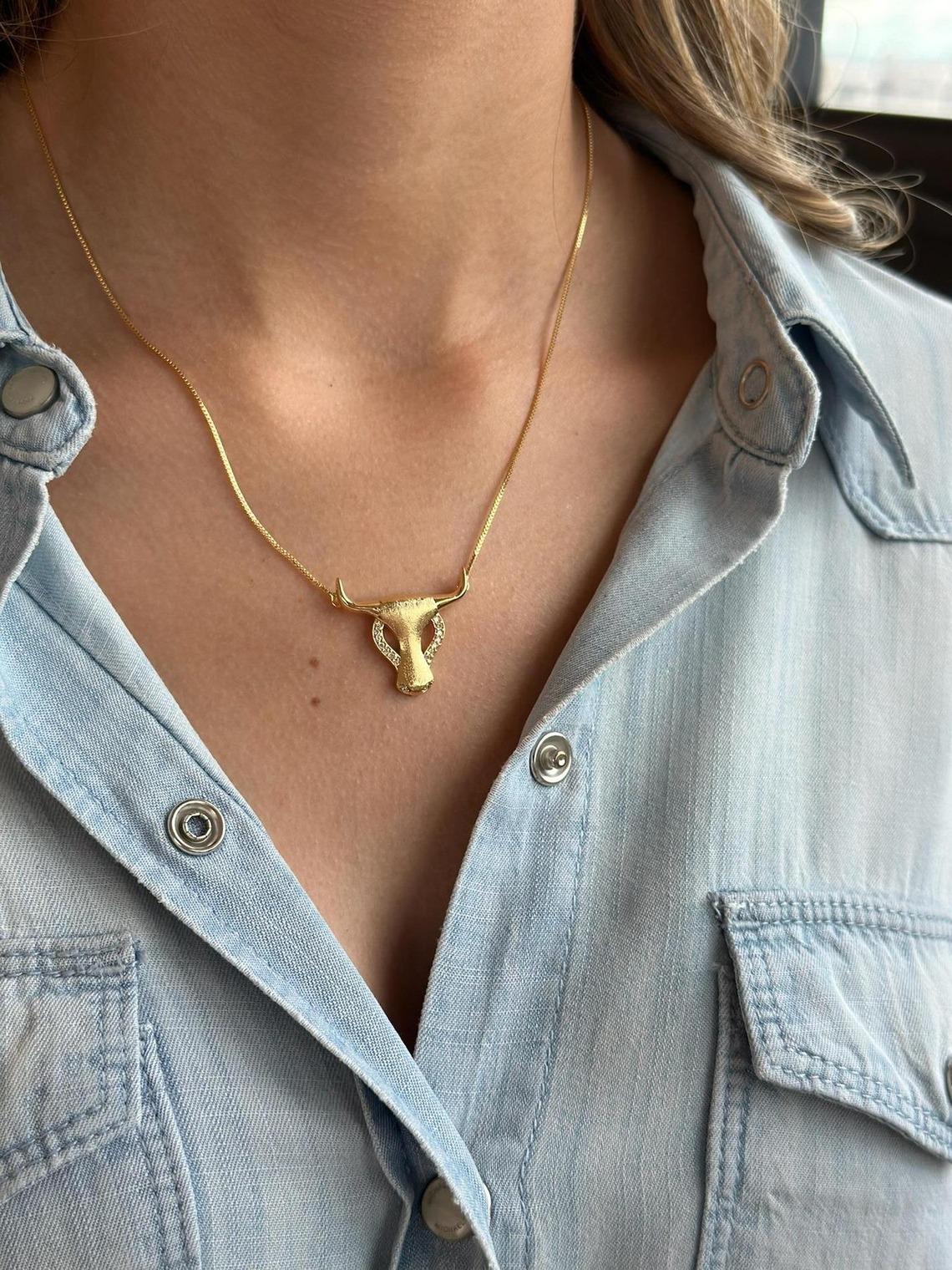 Collar LongHorn