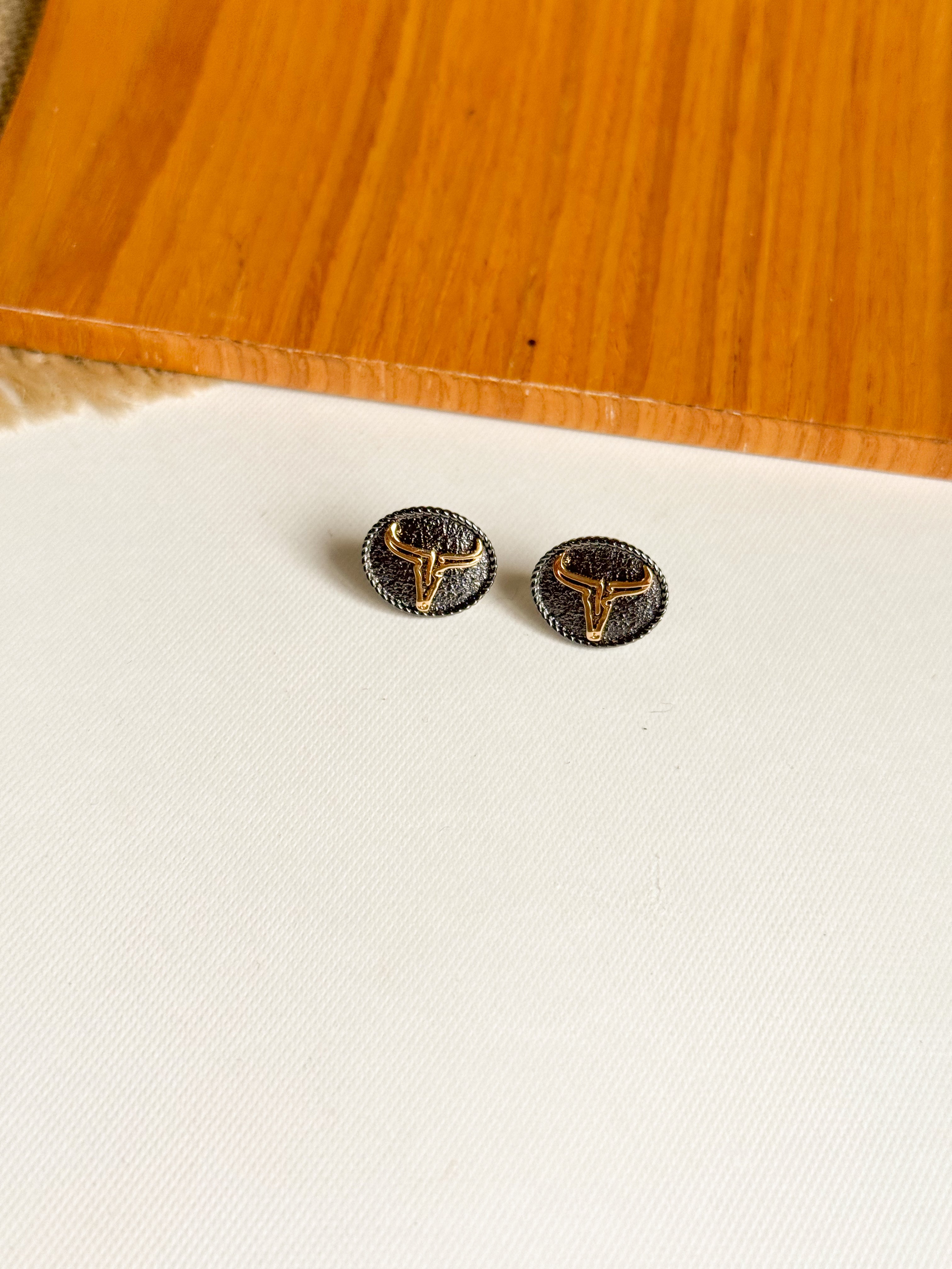 Aretes Longhorn