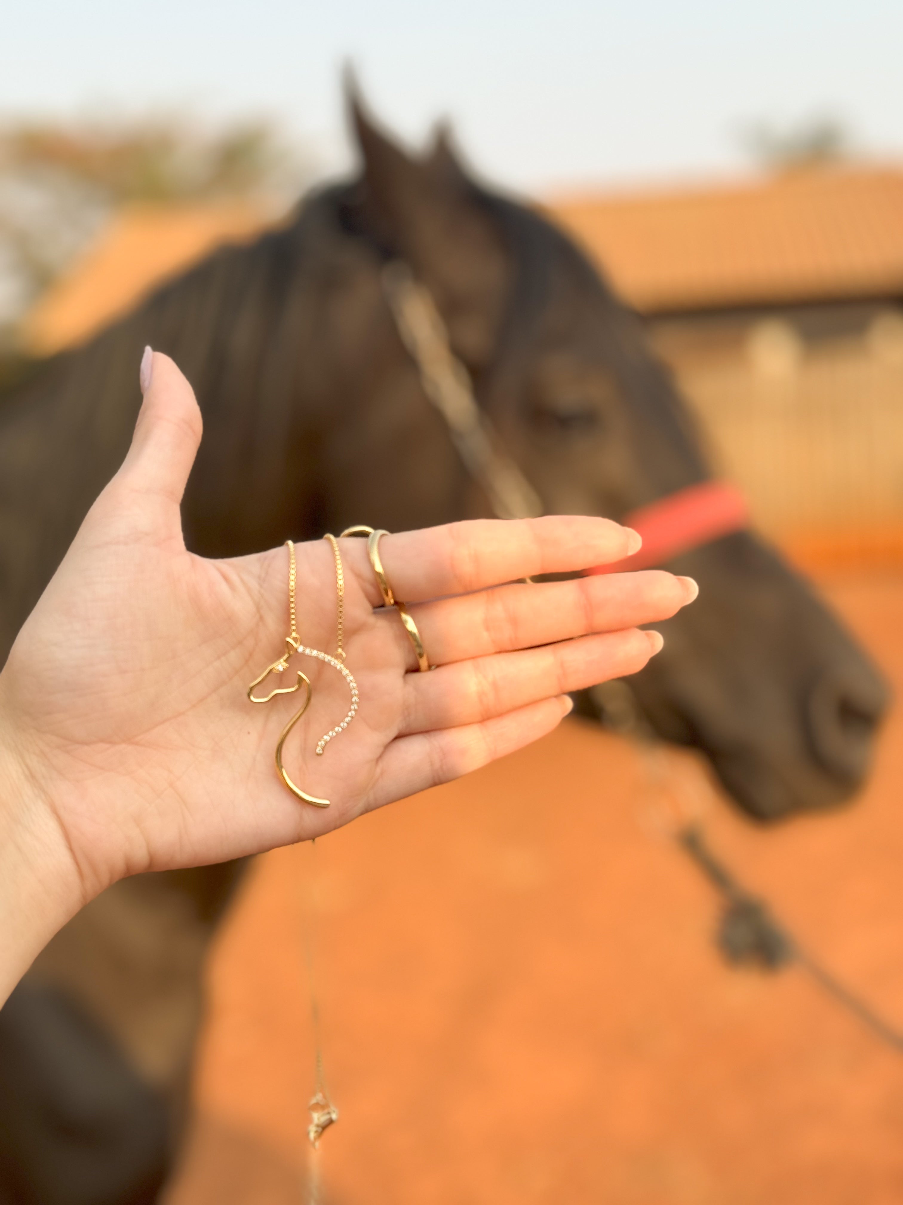 Collar Caballo Zirconias