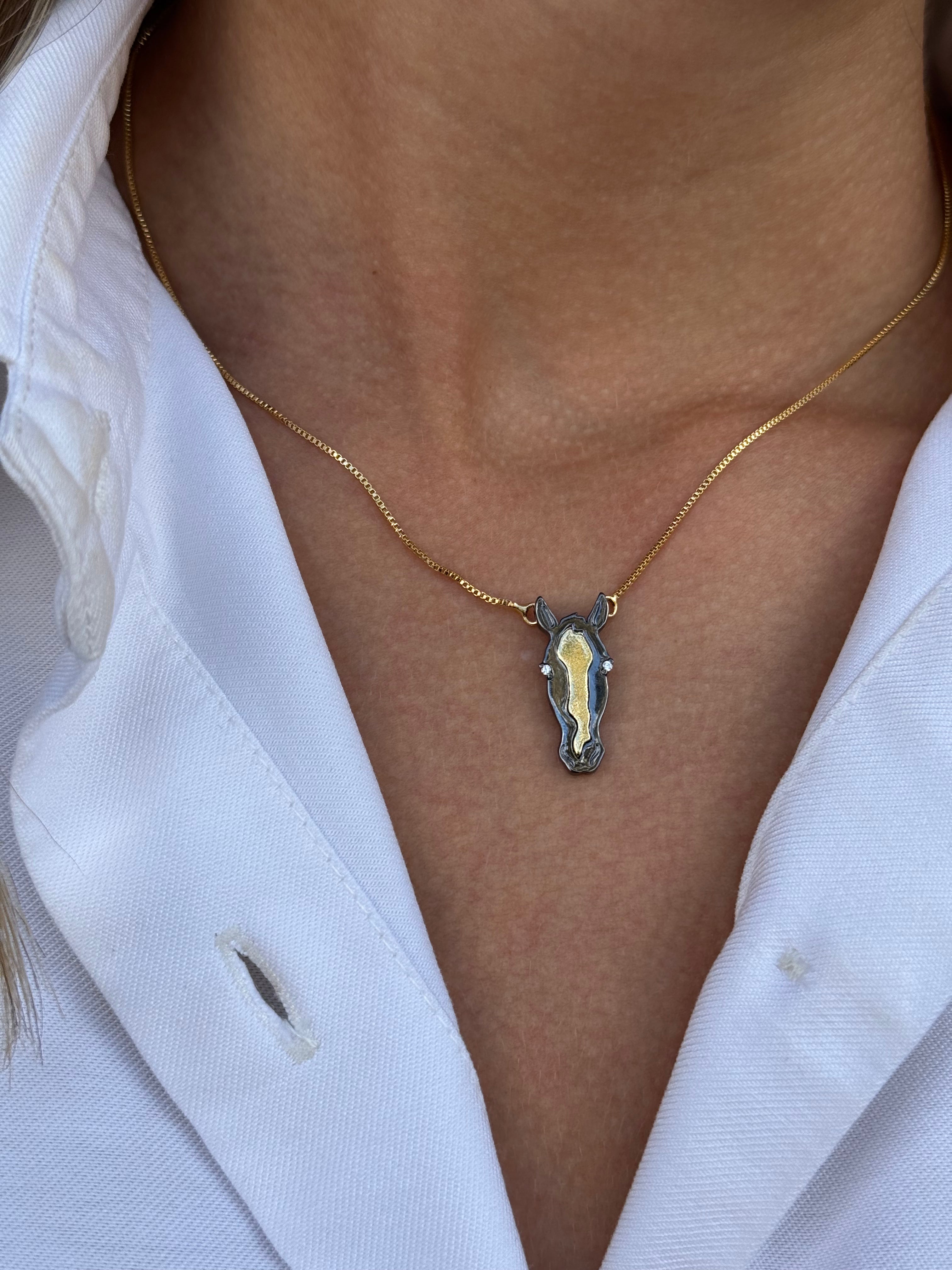 Collar Caballo Bicolor
