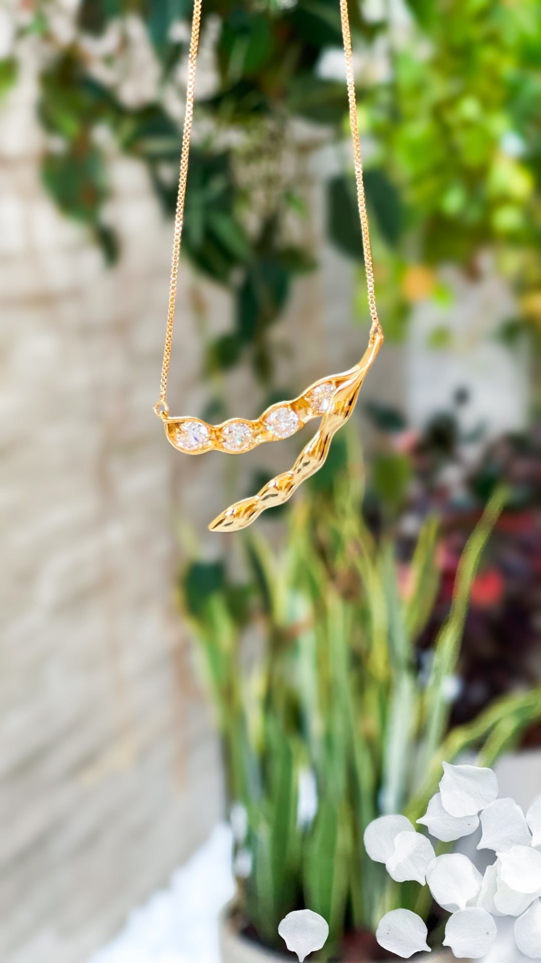 Collar Soya