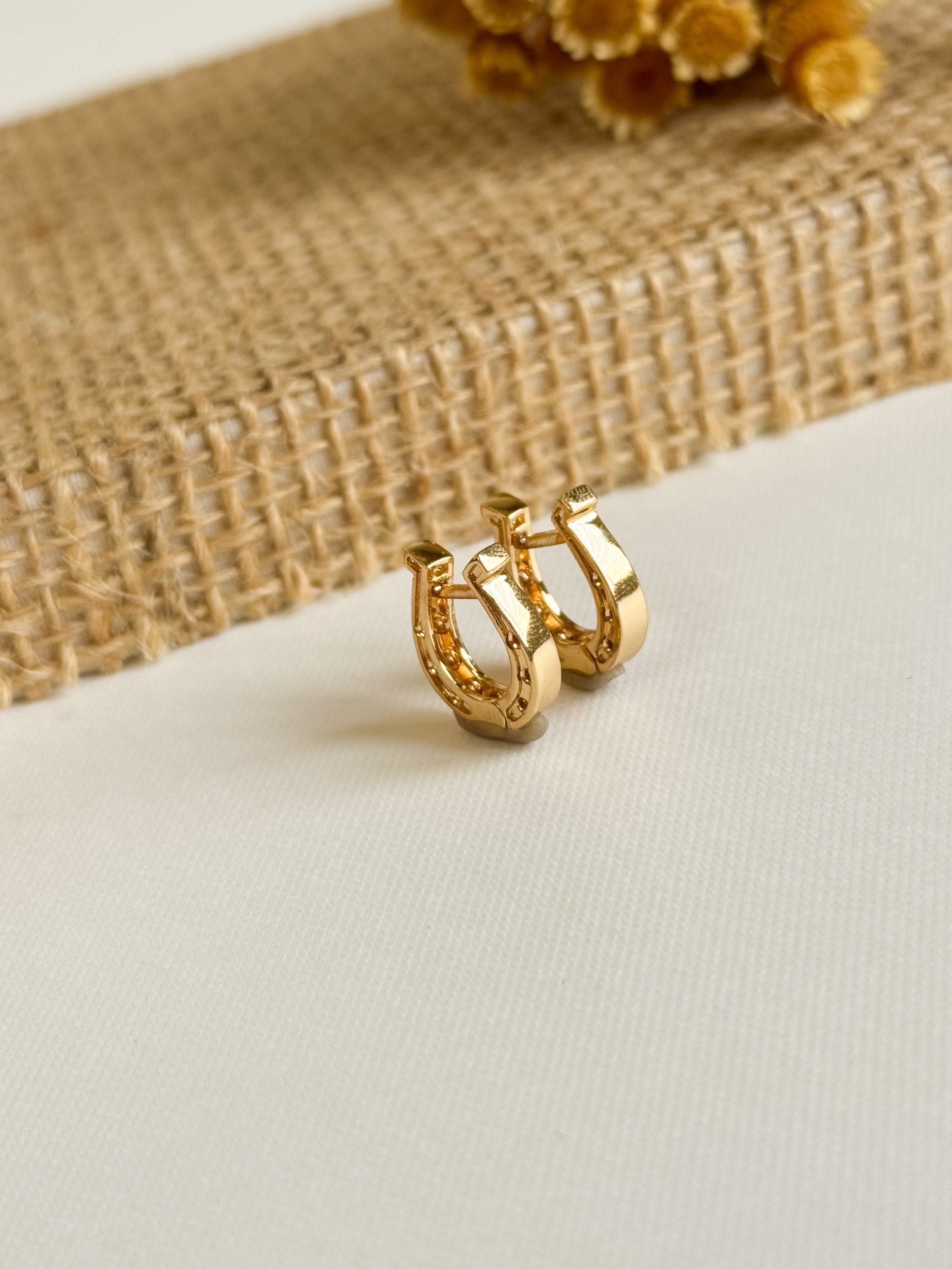 Aretes Herradura