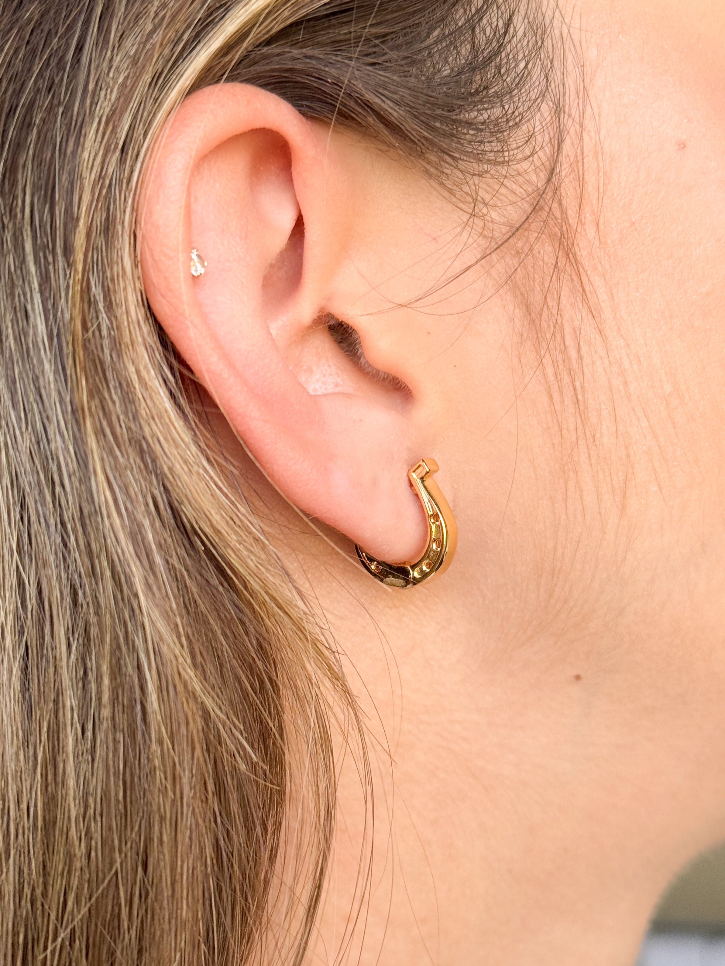 Aretes Herradura