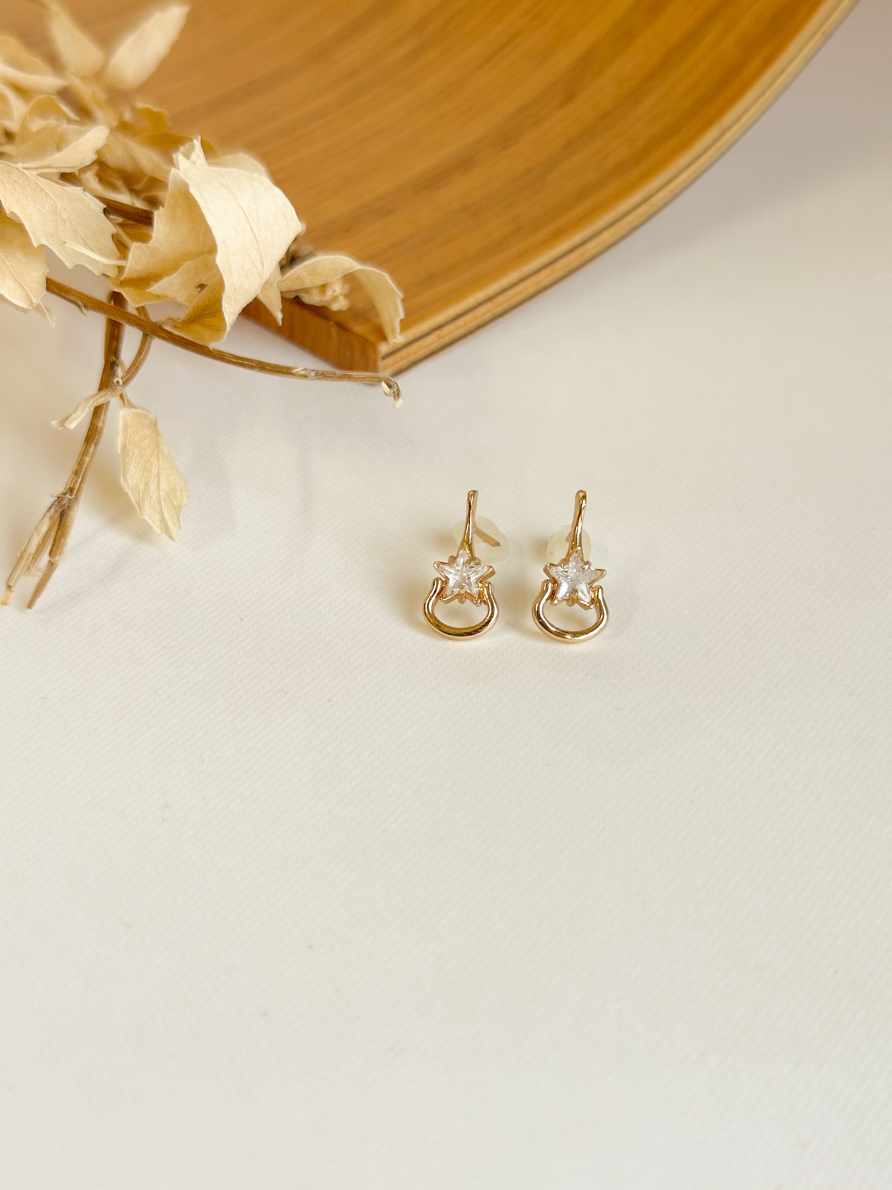 Aretes Estrella Vaquera