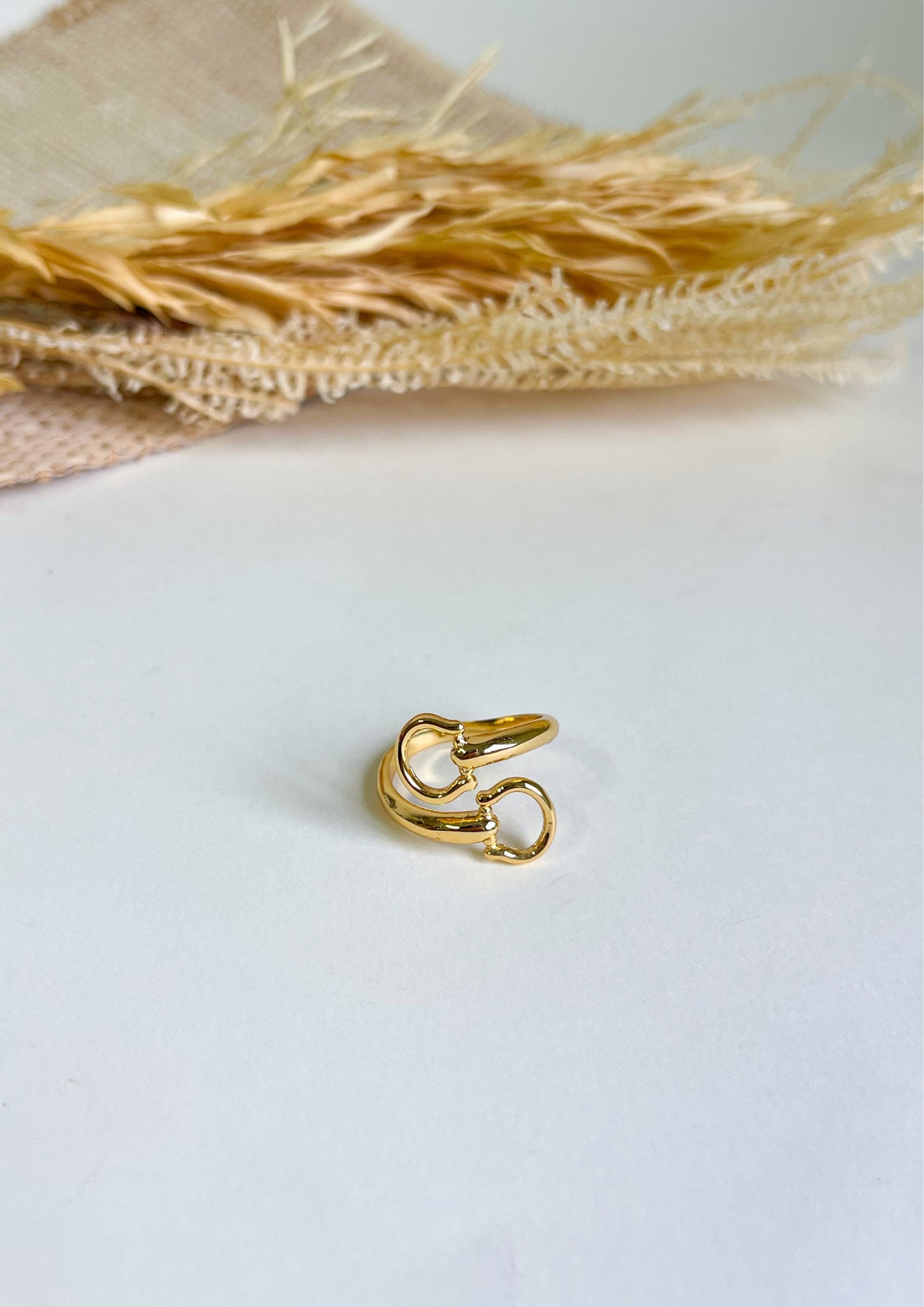 Anillo Bocado