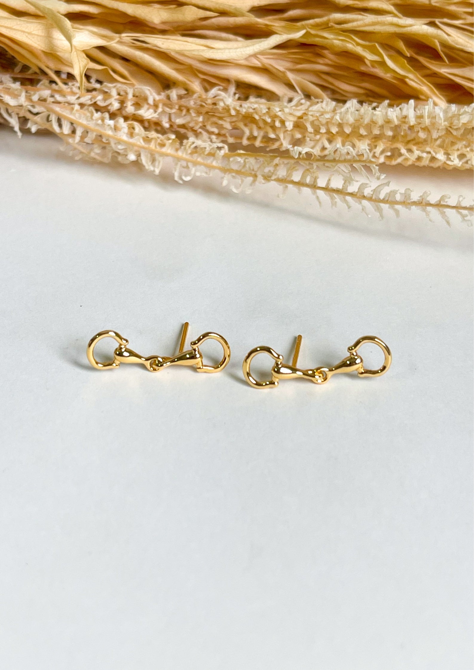 Aretes Bocado