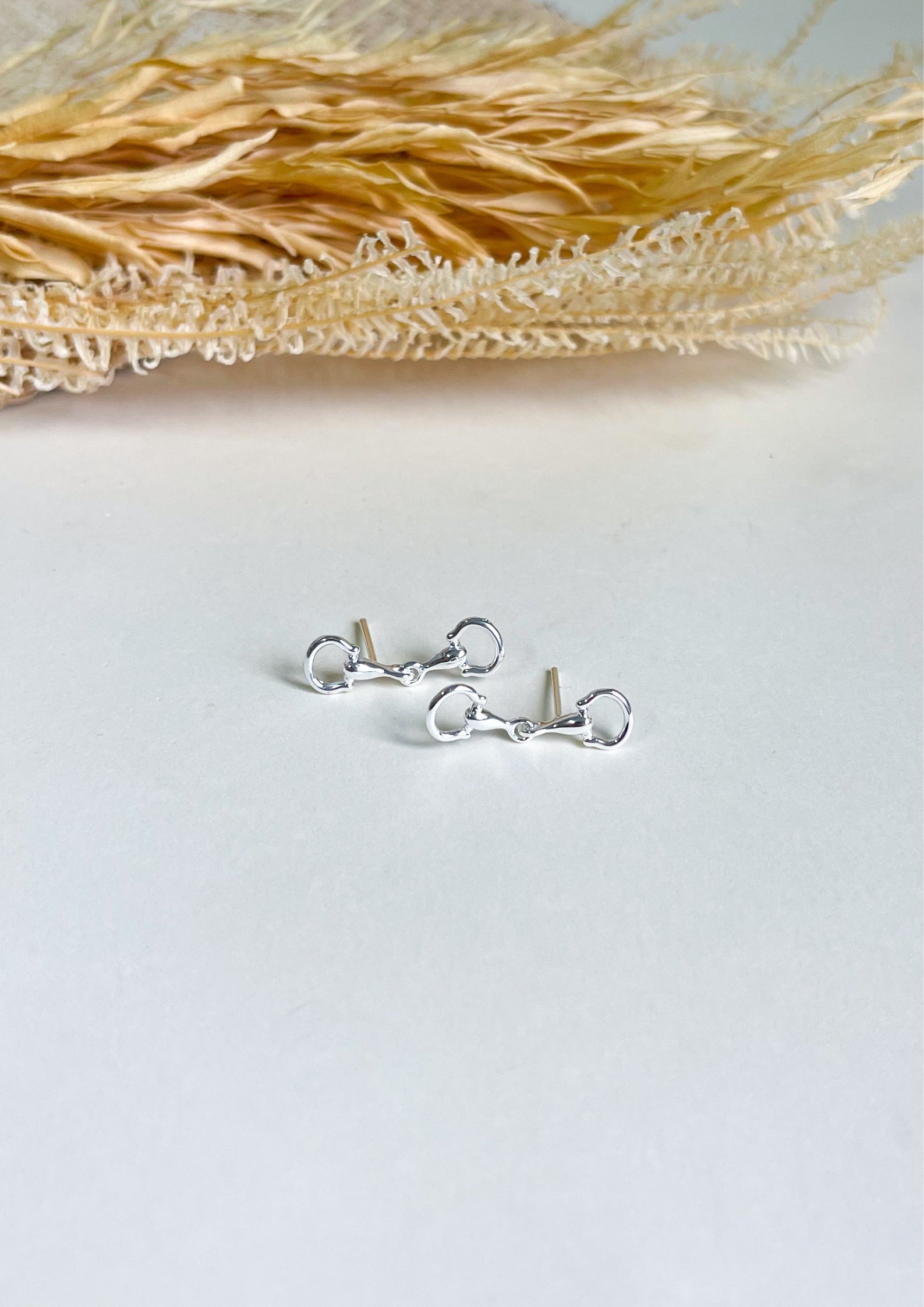 Aretes Bocado